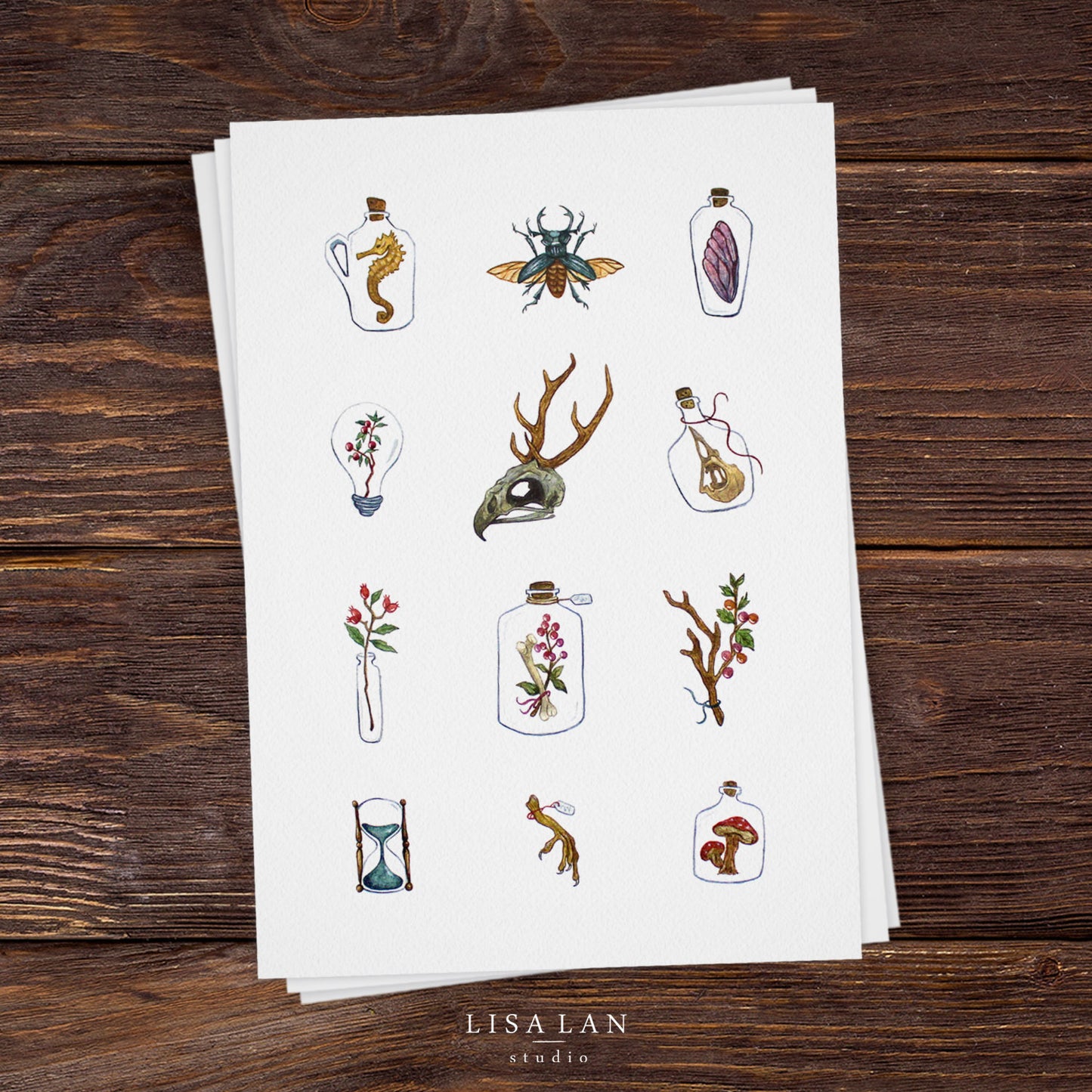 Cabinet of Curiosities print